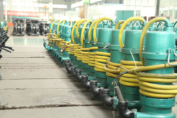 防(fang)爆潛水泵(bèng)