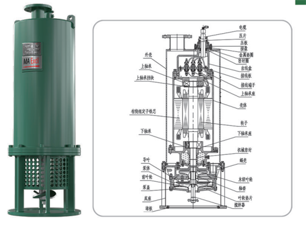 内裝式攪拌(bàn)泵